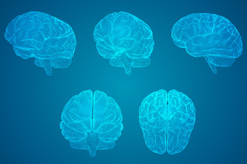 适合一二年级玩的脑筋急转弯及答案大全