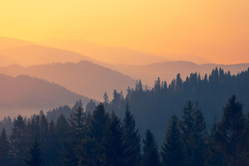 李焕英是贾玲的母亲吗？