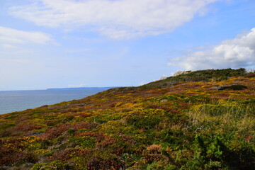 实测辅助”鱼乐达人开挂神器”原来真可以开挂