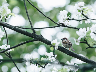 今天分享一些生活小常识英语