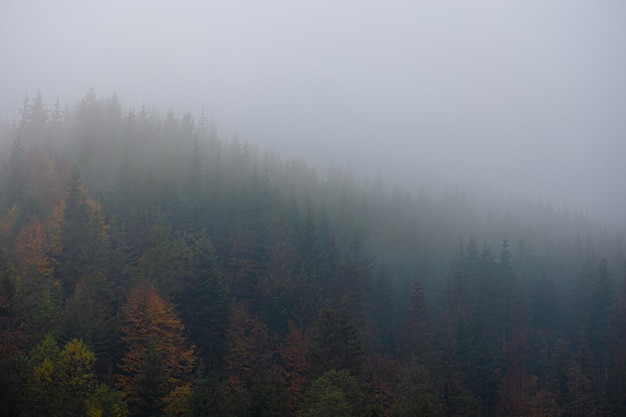 二建高温施工的判定