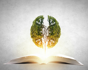 流泉村位于哪个省