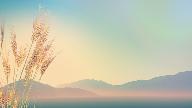 幼儿童话睡前故事