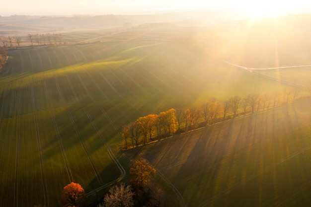 实测辅助”鱼乐达人开挂神器”原来真可以开挂